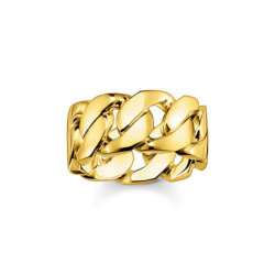 Thomas Sabo Ring Glieder Gold